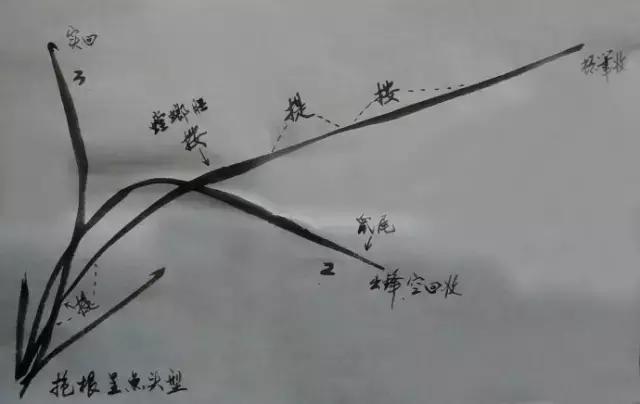 怎样简单画兰花，怎样简单画猴子（一学就会：兰花的写意画法）