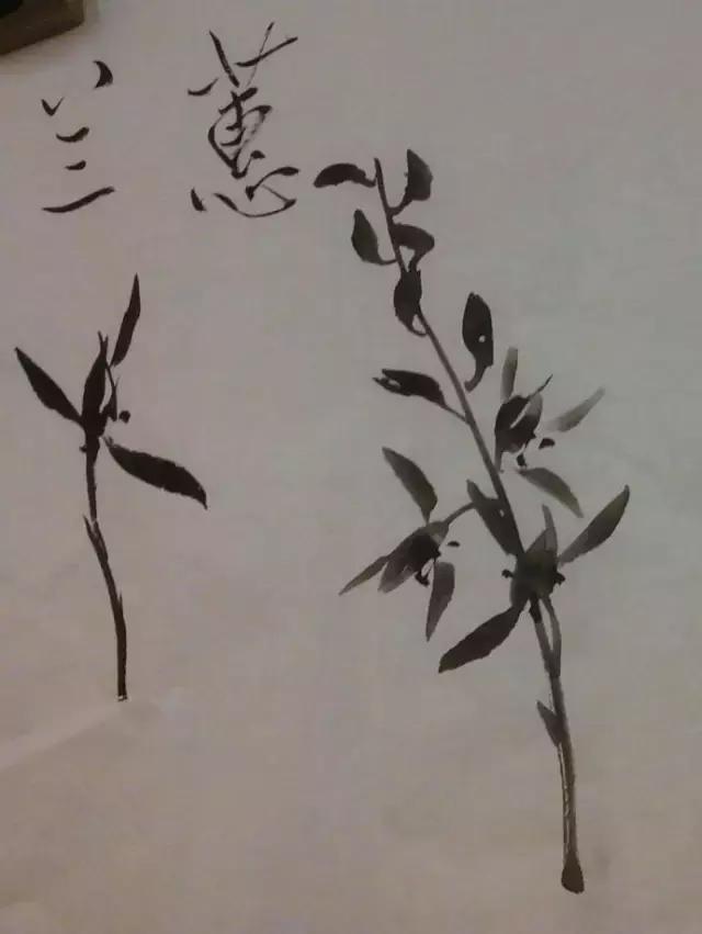 怎样简单画兰花，怎样简单画猴子（一学就会：兰花的写意画法）