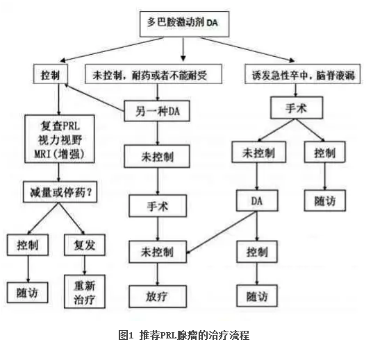 未孕催乳药怎么服用，未孕催乳吃什么药（垂体催乳素腺瘤药物治疗要注意哪些）