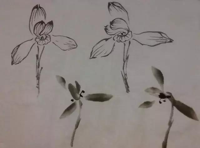 怎样简单画兰花，怎样简单画猴子（一学就会：兰花的写意画法）