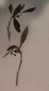 怎样简单画兰花，怎样简单画猴子（一学就会：兰花的写意画法）