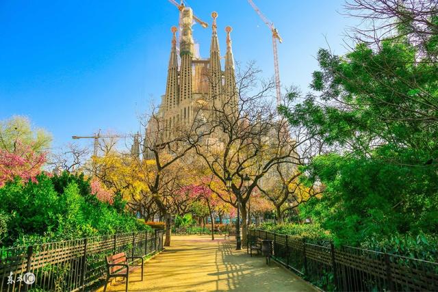 读《历练后的飞翔》有感，历练后的飞翔文章主旨（我的文字情怀！）