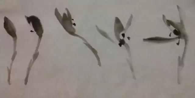 怎样简单画兰花，怎样简单画猴子（一学就会：兰花的写意画法）