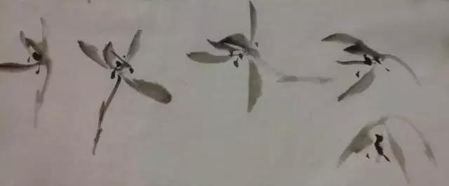 怎样简单画兰花，怎样简单画猴子（一学就会：兰花的写意画法）