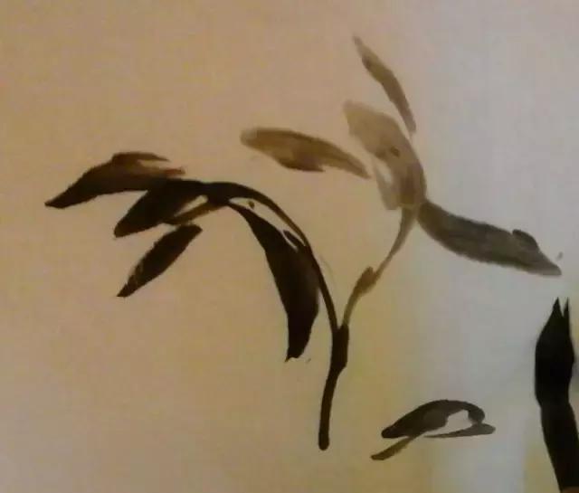 怎样简单画兰花，怎样简单画猴子（一学就会：兰花的写意画法）