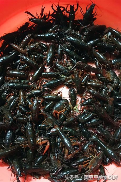 油焖小龙虾的正确做法，油爆小龙虾做法（自己在家做成本不到100元）