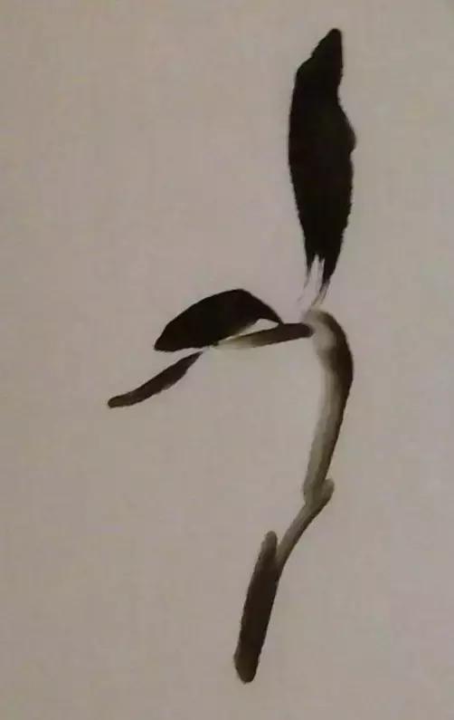怎样简单画兰花，怎样简单画猴子（一学就会：兰花的写意画法）