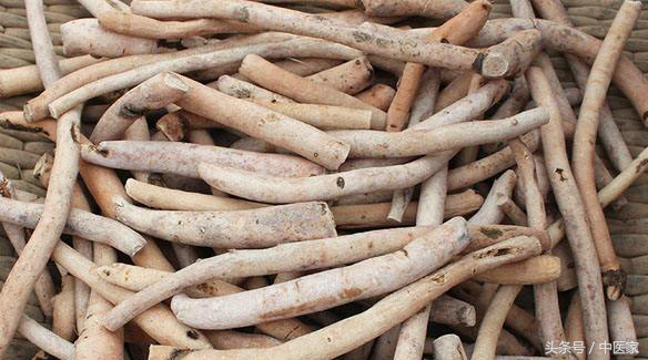 炒白芍的功效与作用，炒白芍的功效与作用的功能与主治与用量（花开三月破阴寒）