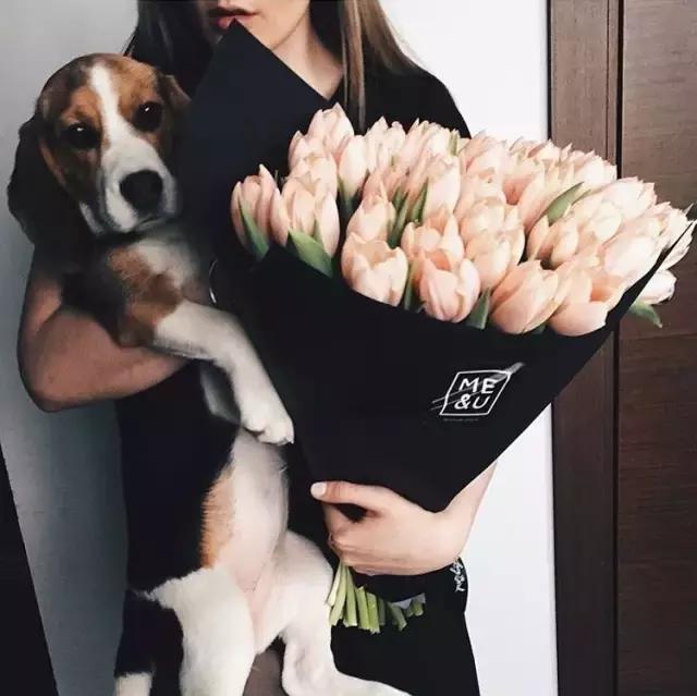 玫瑰花为什么用黑纸包，玫瑰花用黑色的包装纸包有什么说处（一张黑色纸就够了）