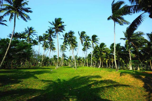 文昌旅游景点大全，文昌有哪些旅游景点（文昌最值得去的4个冷门旅行地）