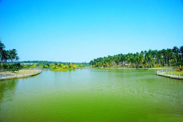 文昌旅游景点大全，文昌有哪些旅游景点（文昌最值得去的4个冷门旅行地）