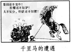 伯乐意思是什么，伯乐意思是什么词（而伯乐不常有”）