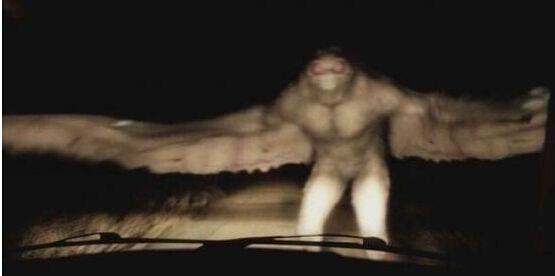 全球十大神秘怪兽，世界十大怪兽未解之谜（盘点全球十大恐怖怪物）