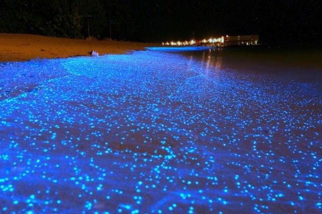 世界上十大奇观，世界八大奇观之一（最后一张太可怕了）