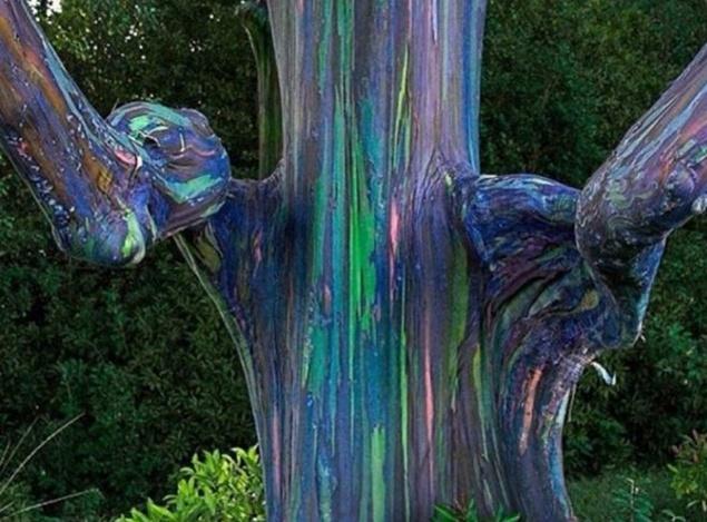 世界上十大奇观，世界八大奇观之一（最后一张太可怕了）