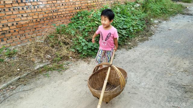 自己家怎么晒干枣，家庭怎样晒制红枣干（又大又红的“核桃纹子枣”熟了）