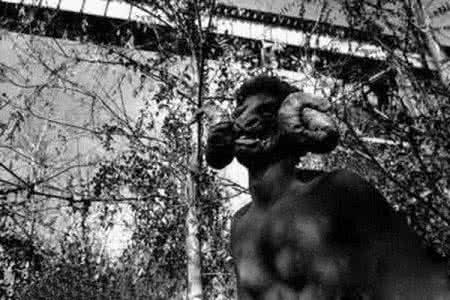 全球十大神秘怪兽，世界十大怪兽未解之谜（盘点全球十大恐怖怪物）