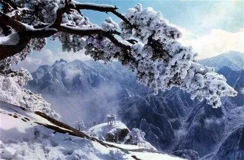 华山在哪,华山在哪个市(这份玩转华山攻略请收好) 华山在哪,华山在哪个市(这份玩转华山攻略请收好)