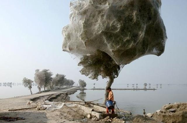 世界上十大奇观，世界八大奇观之一（最后一张太可怕了）