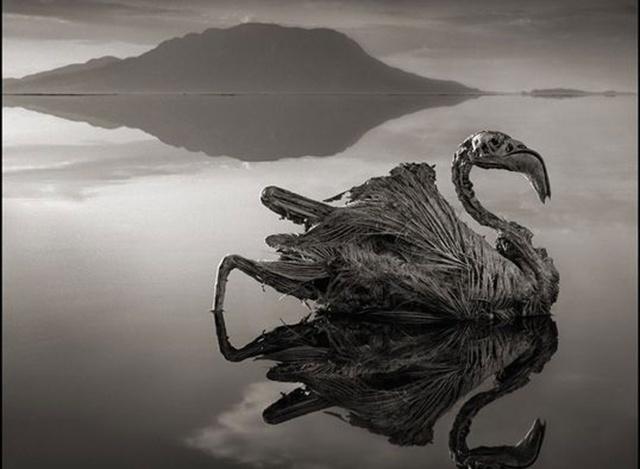 世界上十大奇观，世界八大奇观之一（最后一张太可怕了）