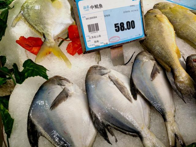 超市的小墨鱼为什么比大墨鱼贵，墨鱼买小的还是大的（带你看看县城最大的超市里都有哪些物美价廉的海产品）