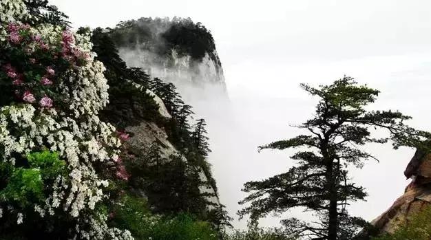 华山在哪,华山在哪个市(这份玩转华山攻略请收好) 华山在哪,华山在哪个市(这份玩转华山攻略请收好)
