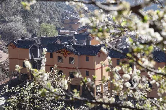 彝族马樱花节的传说，苗族花坡节的来历（马缨花为什么会这样红）