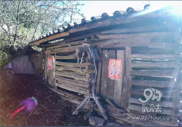 彝族马樱花节的传说，苗族花坡节的来历（马缨花为什么会这样红）