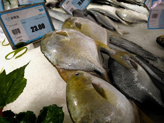 超市的小墨鱼为什么比大墨鱼贵，墨鱼买小的还是大的（带你看看县城最大的超市里都有哪些物美价廉的海产品）