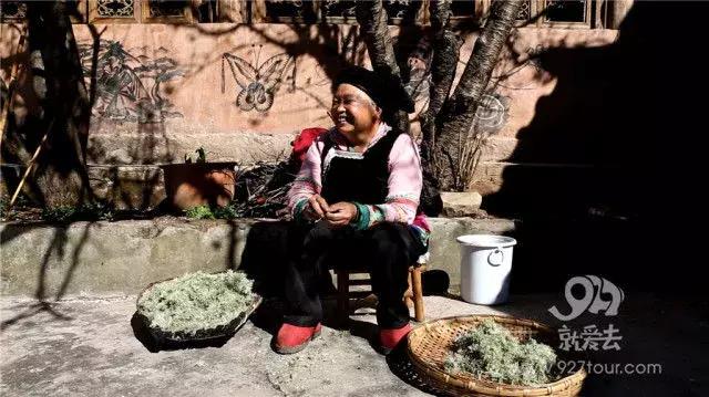 彝族马樱花节的传说，苗族花坡节的来历（马缨花为什么会这样红）