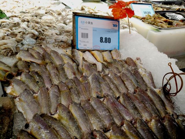 超市的小墨鱼为什么比大墨鱼贵，墨鱼买小的还是大的（带你看看县城最大的超市里都有哪些物美价廉的海产品）