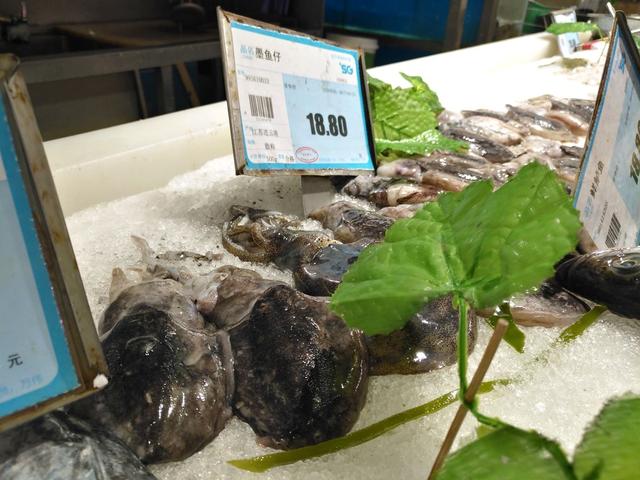 超市的小墨鱼为什么比大墨鱼贵，墨鱼买小的还是大的（带你看看县城最大的超市里都有哪些物美价廉的海产品）