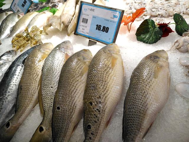 超市的小墨鱼为什么比大墨鱼贵，墨鱼买小的还是大的（带你看看县城最大的超市里都有哪些物美价廉的海产品）