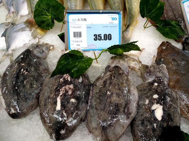 超市的小墨鱼为什么比大墨鱼贵，墨鱼买小的还是大的（带你看看县城最大的超市里都有哪些物美价廉的海产品）