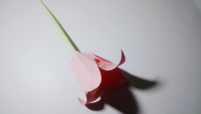 如何用彩纸折出一朵漂亮的荷花荷花的彩纸折法，简单折纸荷花的详细教程（漂亮花朵折纸合集）