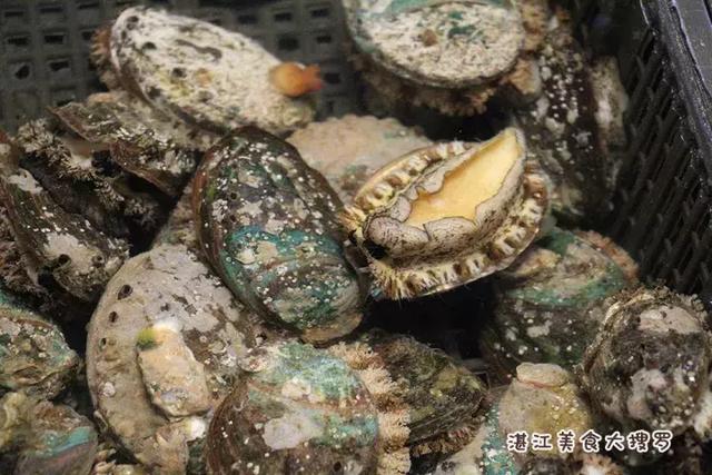 蜘蛛蟹的做法,蜘蛛蟹怎么煮(只隔着一个海鲜市场) 蜘蛛蟹的做法,蜘蛛蟹怎么煮(只隔着一个海鲜市场)