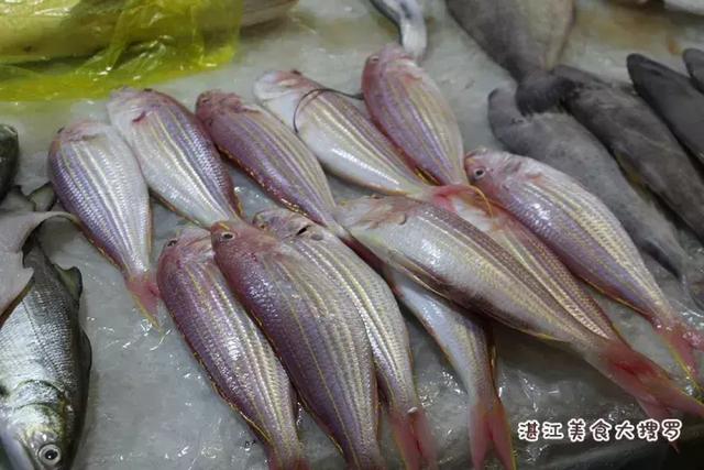 蜘蛛蟹的做法,蜘蛛蟹怎么煮(只隔着一个海鲜市场) 蜘蛛蟹的做法,蜘蛛蟹怎么煮(只隔着一个海鲜市场)