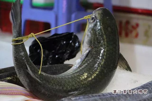 蜘蛛蟹的做法,蜘蛛蟹怎么煮(只隔着一个海鲜市场) 蜘蛛蟹的做法,蜘蛛蟹怎么煮(只隔着一个海鲜市场)