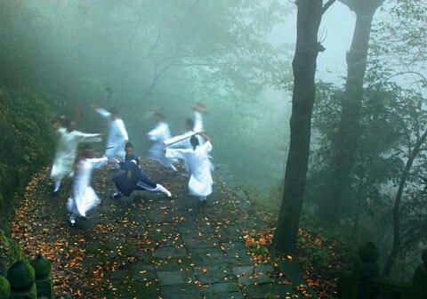 武当有哪些功夫，武当有哪些功夫大师（玄妙飘灵的武当武术）