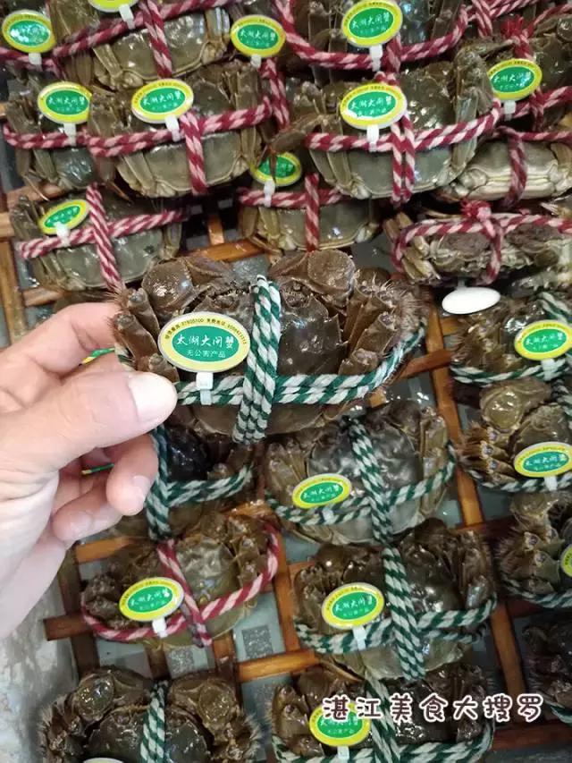 蜘蛛蟹的做法,蜘蛛蟹怎么煮(只隔着一个海鲜市场) 蜘蛛蟹的做法,蜘蛛蟹怎么煮(只隔着一个海鲜市场)