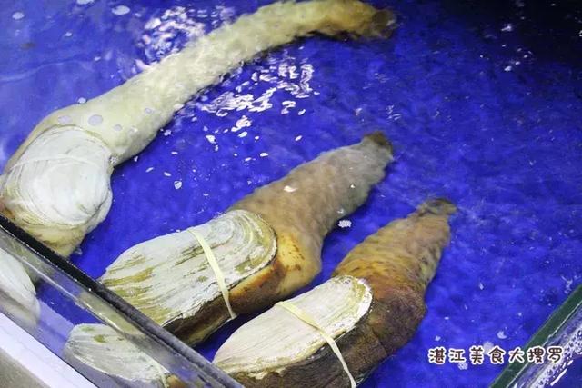 蜘蛛蟹的做法,蜘蛛蟹怎么煮(只隔着一个海鲜市场) 蜘蛛蟹的做法,蜘蛛蟹怎么煮(只隔着一个海鲜市场)