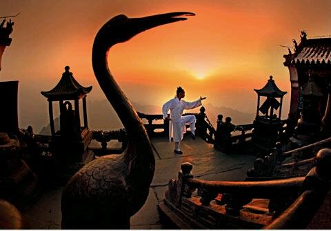 武当有哪些功夫，武当有哪些功夫大师（玄妙飘灵的武当武术）