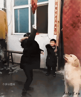 韩红的这个鸡儿是什么梗，韩红 你是哪一个（搞笑GIF：教练说减肥）