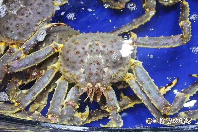 蜘蛛蟹的做法,蜘蛛蟹怎么煮(只隔着一个海鲜市场) 蜘蛛蟹的做法,蜘蛛蟹怎么煮(只隔着一个海鲜市场)