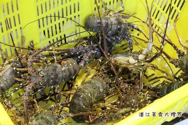 蜘蛛蟹的做法,蜘蛛蟹怎么煮(只隔着一个海鲜市场) 蜘蛛蟹的做法,蜘蛛蟹怎么煮(只隔着一个海鲜市场)