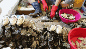 蜘蛛蟹的做法，蜘蛛蟹怎么煮（只隔着一个海鲜市场）