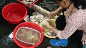 蜘蛛蟹的做法，蜘蛛蟹怎么煮（只隔着一个海鲜市场）