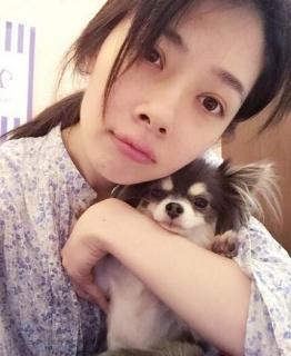 郭碧婷演过什么电视剧，郭碧婷参演过的电视剧（女主角郭碧婷的朝天鼻引无数网友质疑）