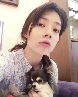 郭碧婷演过什么电视剧，郭碧婷参演过的电视剧（女主角郭碧婷的朝天鼻引无数网友质疑）