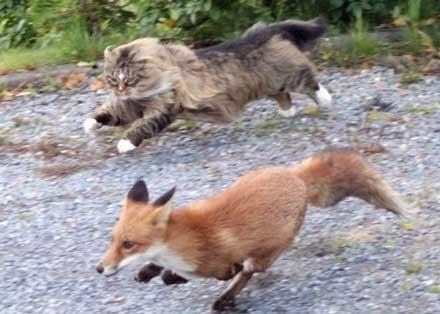 有一种思念叫望川秋水有一种寒冷叫忘穿秋裤，有种寒冷叫忘穿秋裤 有种思念叫望穿秋水（有一种思念叫做望穿秋水图片）